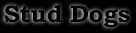 studdogs.jpg